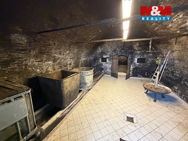Prodej specifického typu nemovitosti 72 m² - foto 8