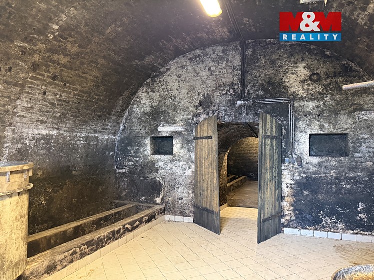 Prodej specifického typu nemovitosti 72 m² - foto 7