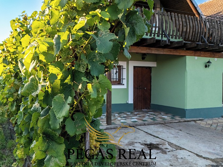 Prodej vinného sklepa 135 m² - foto 2