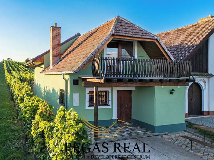 Prodej vinného sklepa 135 m² - foto 1
