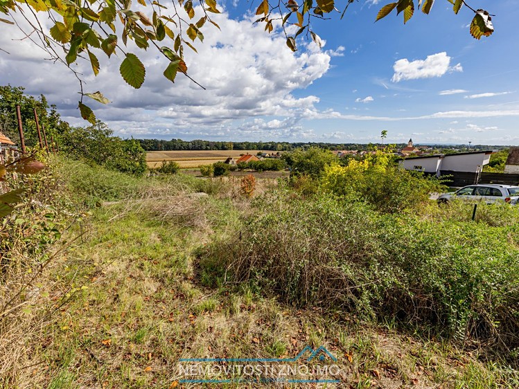 Prodej vinného sklepa 227 m² - foto 8