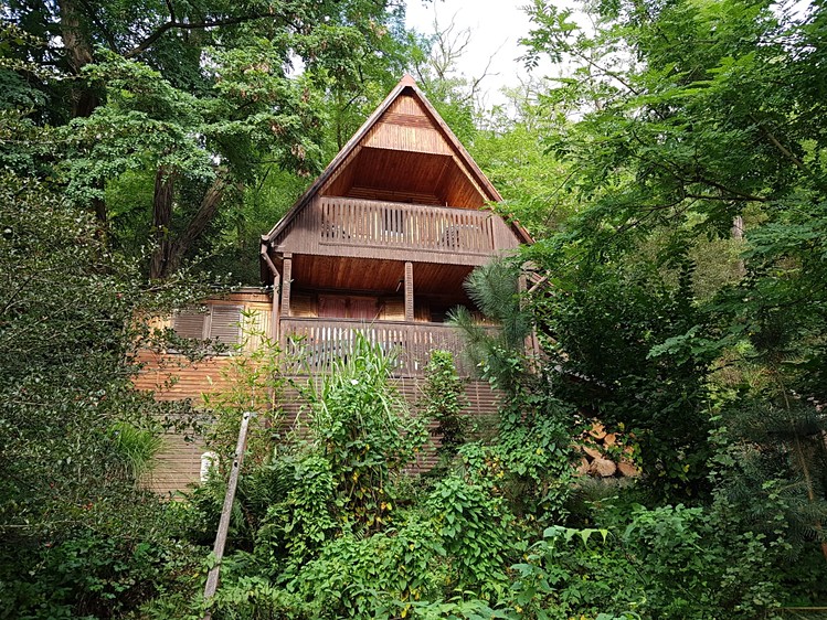 Pronájem specifického typu nemovitosti 55 m² - foto 1