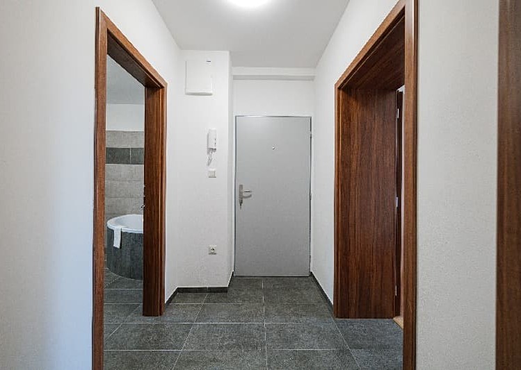 Pronájem specifického typu nemovitosti 300 m² - foto 4