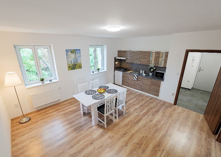 Pronájem specifického typu nemovitosti 300 m² - foto 1