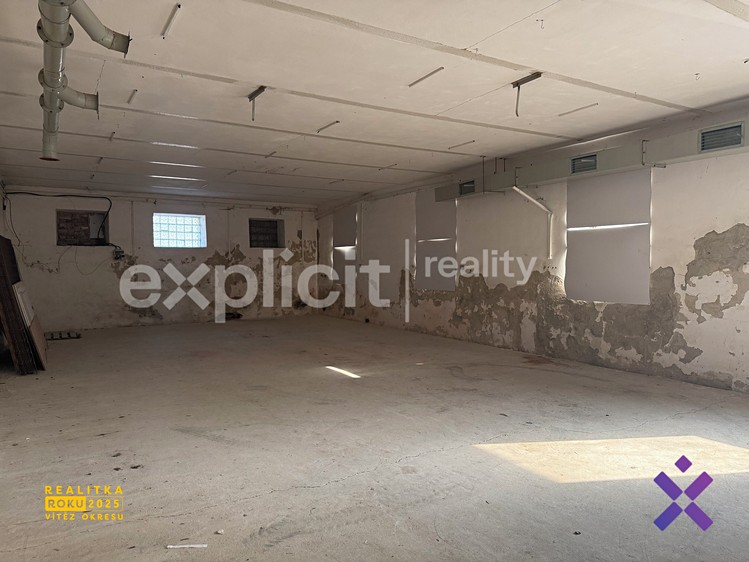 Pronájem specifického typu nemovitosti 130 m² - foto 5
