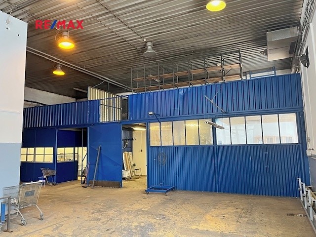 Pronájem specifického typu nemovitosti 300 m² - foto 7