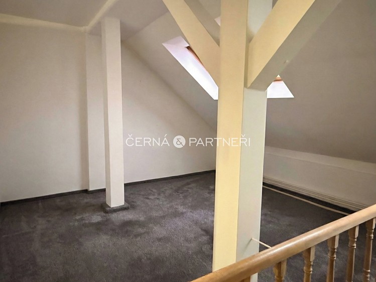 Pronájem specifického typu nemovitosti 31 m² - foto 4