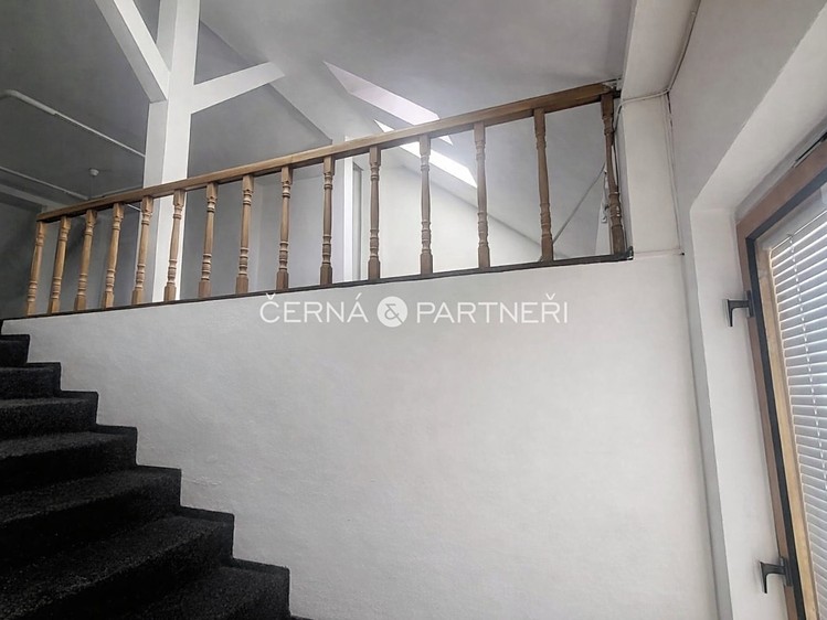 Pronájem specifického typu nemovitosti 31 m² - foto 3