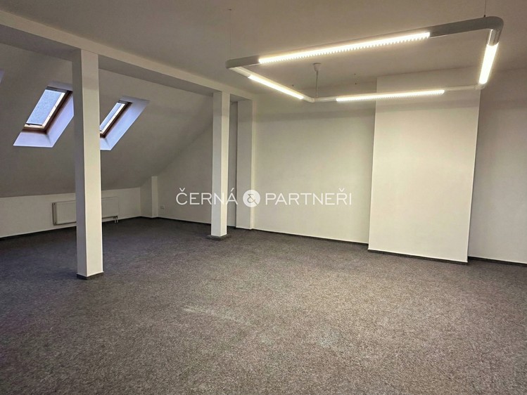 Pronájem specifického typu nemovitosti 31 m² - foto 1