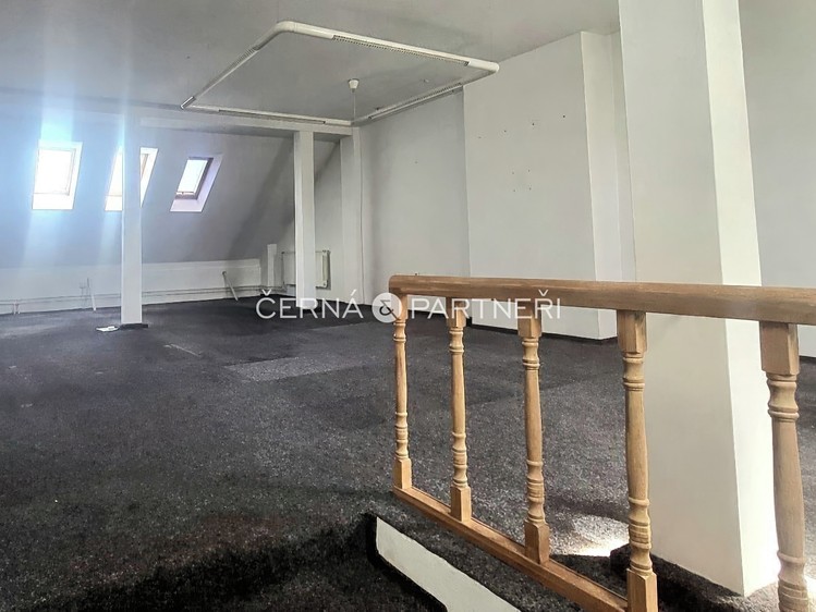 Pronájem specifického typu nemovitosti 31 m² - foto 5