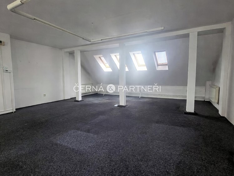 Pronájem specifického typu nemovitosti 31 m² - foto 6