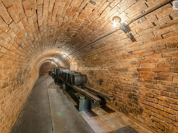 Pronájem vinného sklepa 60 m² - foto 3