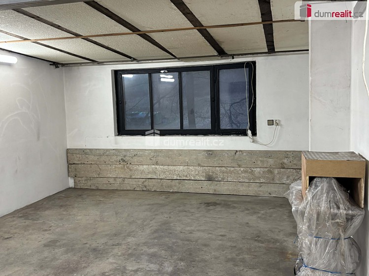 Pronájem specifického typu nemovitosti 30 m² - foto 8