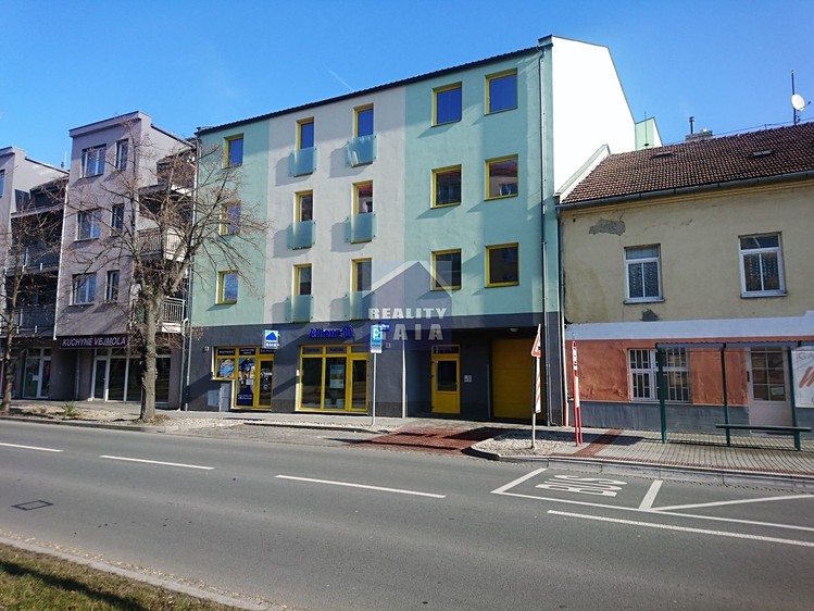 Pronájem garážového stání 18 m² - foto 3