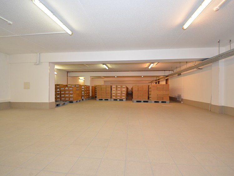 Pronájem specifického typu nemovitosti 227 m² - foto 6