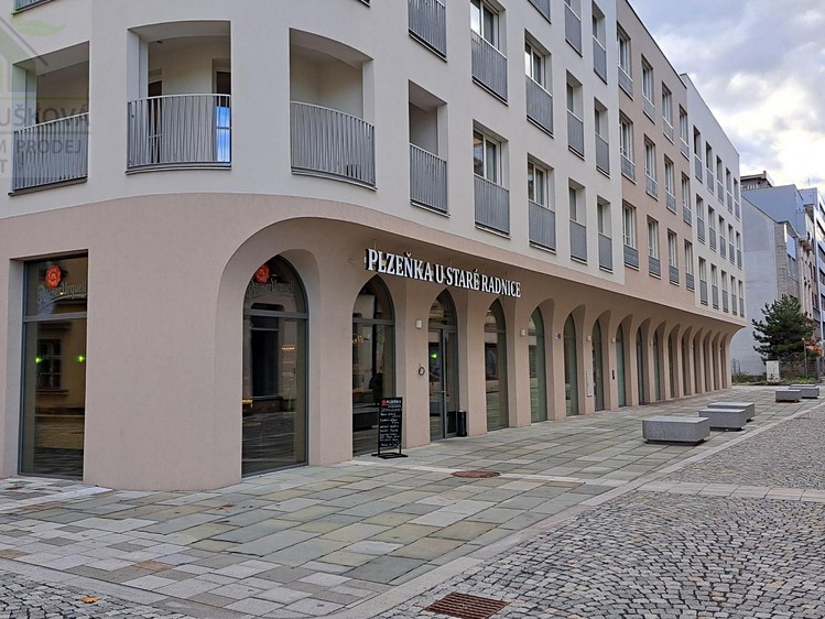 Pronájem garážového stání 12 m² - foto 1