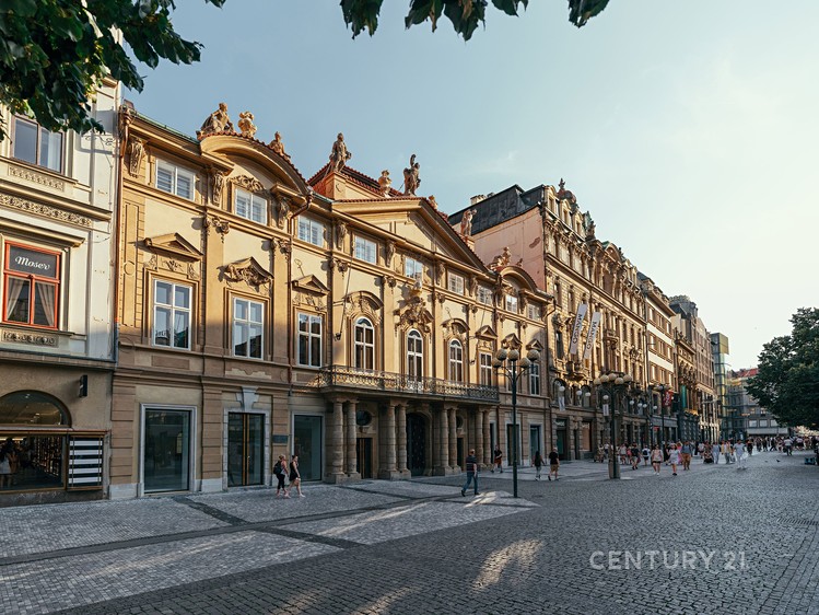 Pronájem specifického typu nemovitosti 300 m² - foto 1