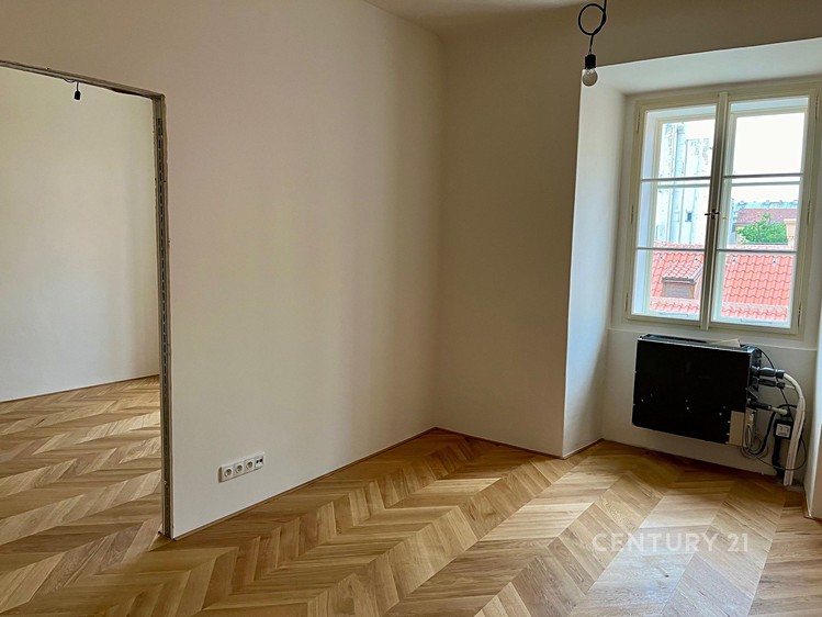 Pronájem specifického typu nemovitosti 300 m² - foto 6