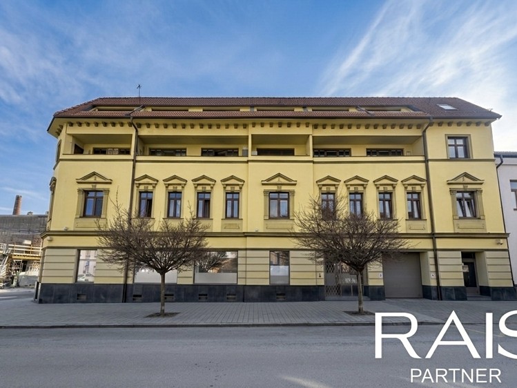 Prodej bytu 1+kk 55 m² - foto 8