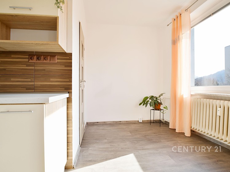 Prodej bytu 2+1 57 m² - foto 6