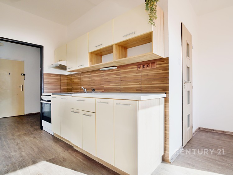 Prodej bytu 2+1 57 m² - foto 5