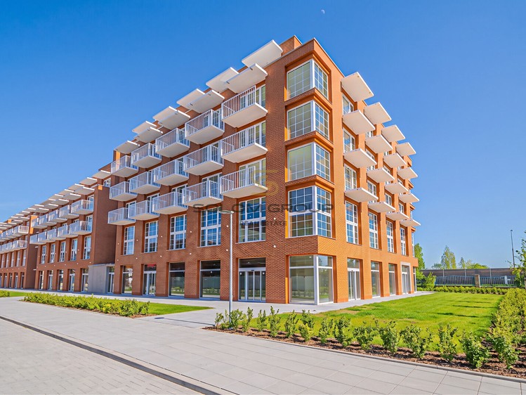Prodej bytu 2+kk 60 m² (Jednopodlažní) - foto 5