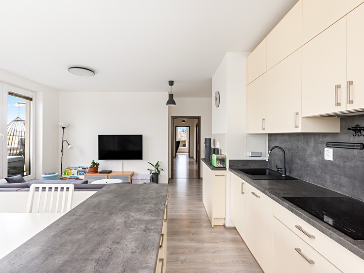 Prodej bytu 4+kk 95 m² - foto 8