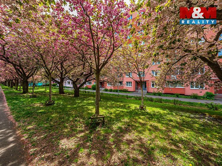 Prodej bytu 2+1 62 m² - foto 4