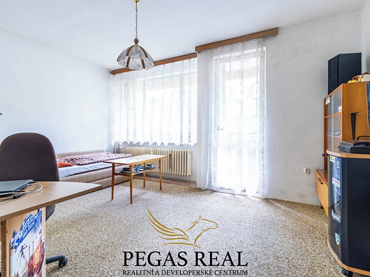 Prodej bytu 1+1 46 m² - foto 1