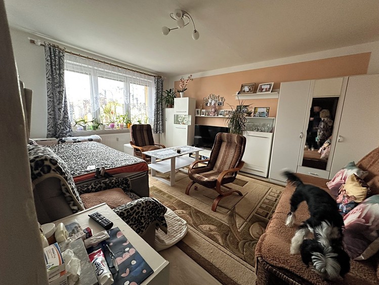 Prodej bytu 1+1 39 m² - foto 3