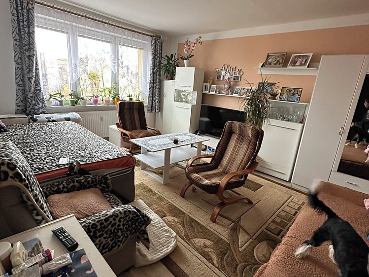 Prodej bytu 1+1 39 m² - foto 4
