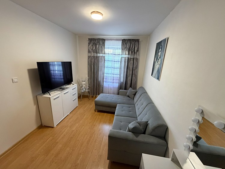 Prodej bytu 2+kk 46 m² (Jednopodlažní) - foto 3