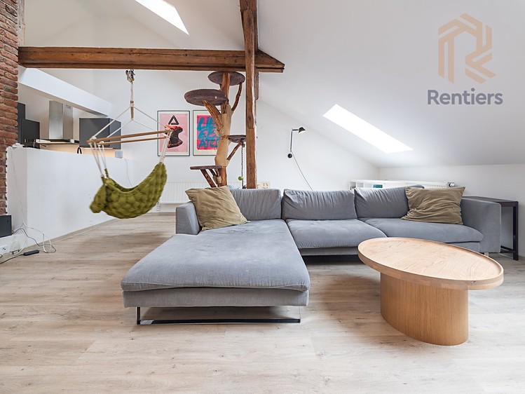Prodej bytu 5+kk 233 m² - foto 5