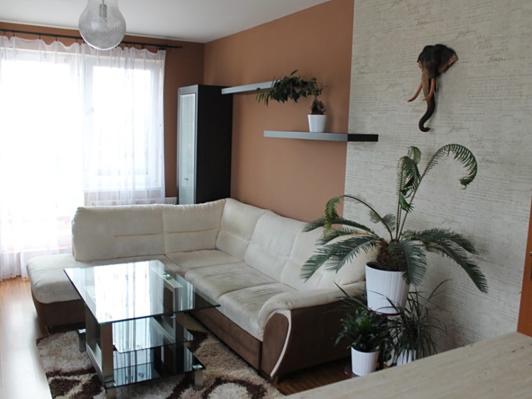 Prodej bytu 2+kk 49 m² (Jednopodlažní) - foto 2