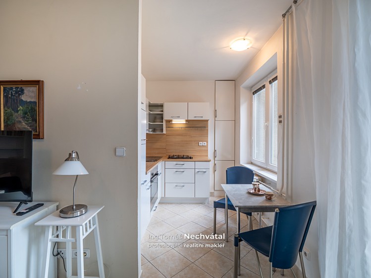 Prodej bytu 1+1 30 m² (Jednopodlažní) - foto 2