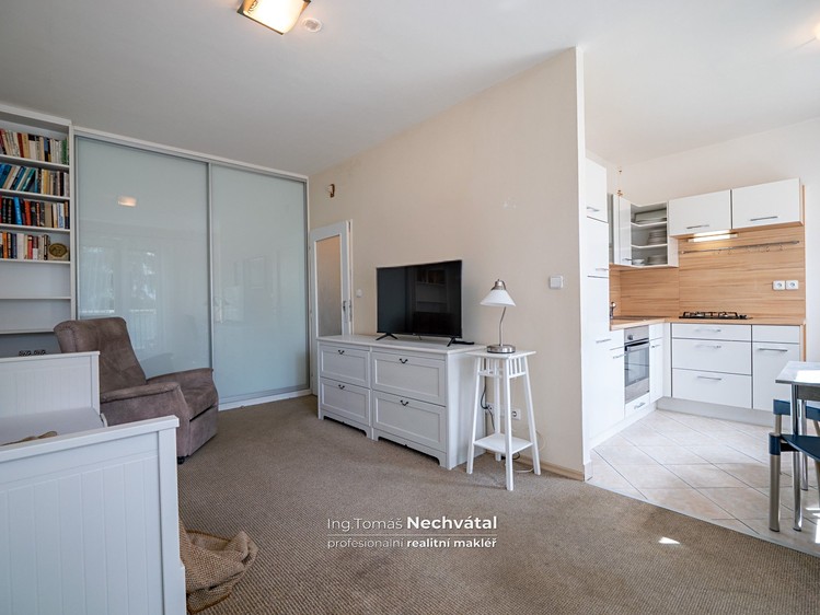 Prodej bytu 1+1 30 m² (Jednopodlažní) - foto 1