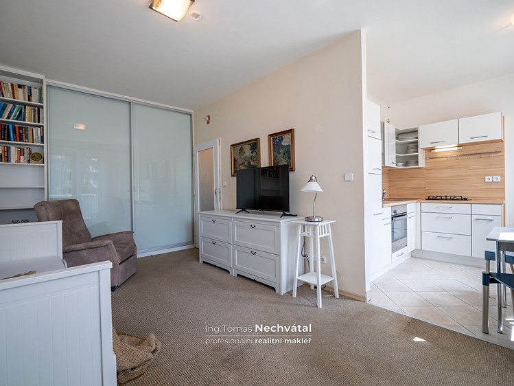 Prodej bytu 1+1 30 m² (Jednopodlažní) - foto 7
