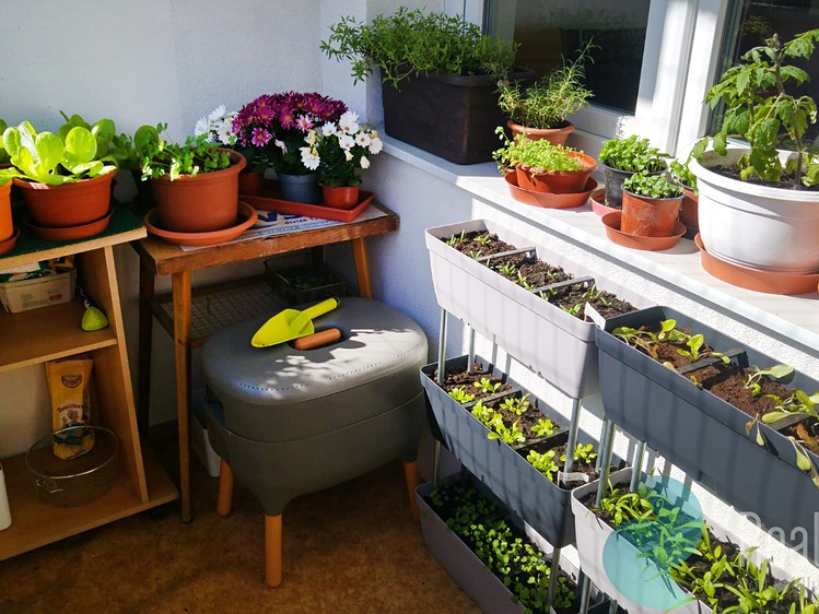 Prodej bytu 3+1 75 m² (Jednopodlažní) - foto 7