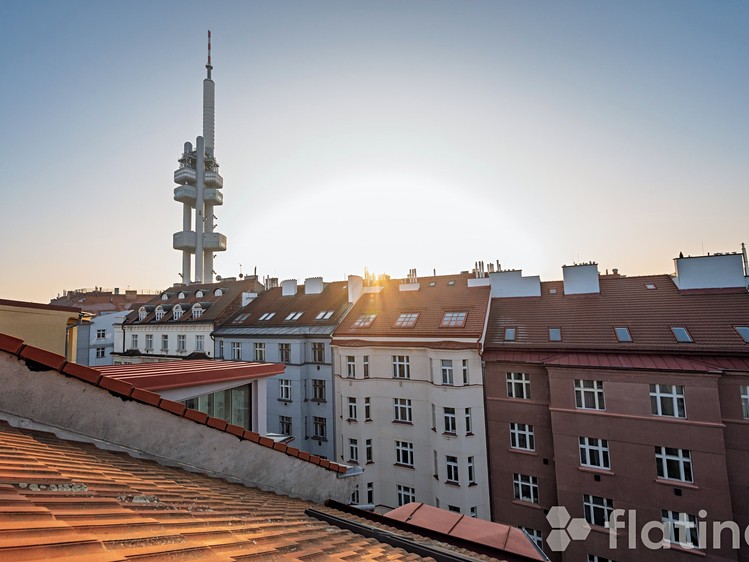 Prodej bytu 5+1 191 m² (Mezonet) - foto 7