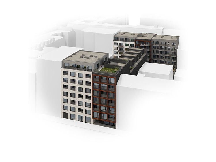 Prodej bytu 2+kk 53 m² (Jednopodlažní) - foto 2