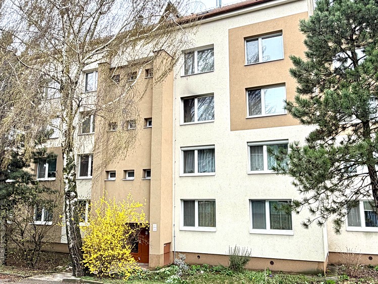 Prodej bytu 3+1 75 m² (Jednopodlažní) - foto 5