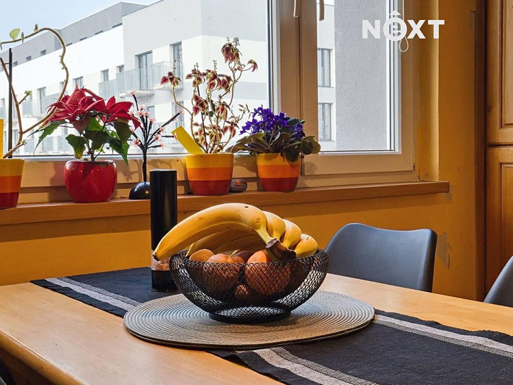 Prodej bytu 3+1 73 m² (Jednopodlažní) - foto 8