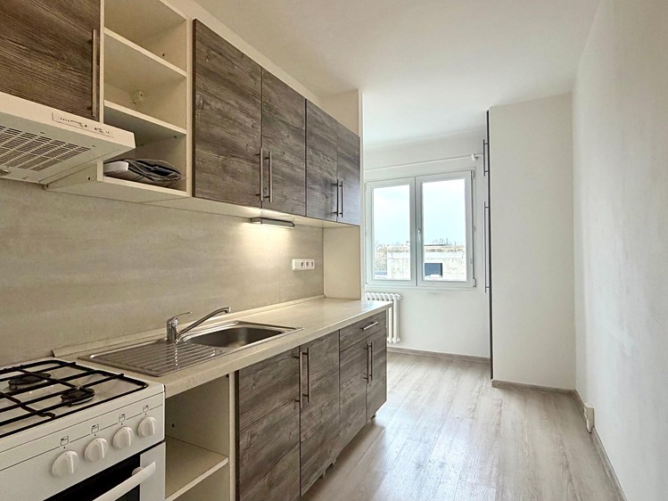 Pronájem bytu 1+1 42 m² - foto 1