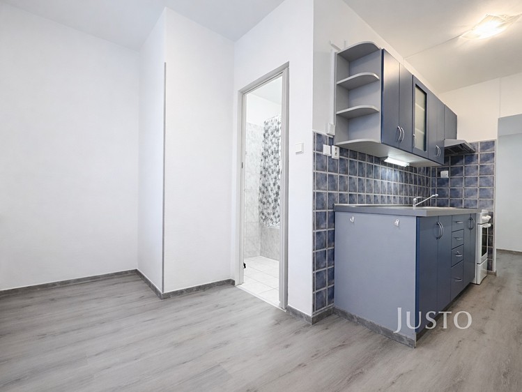 Pronájem bytu 1+1 44 m² - foto 3