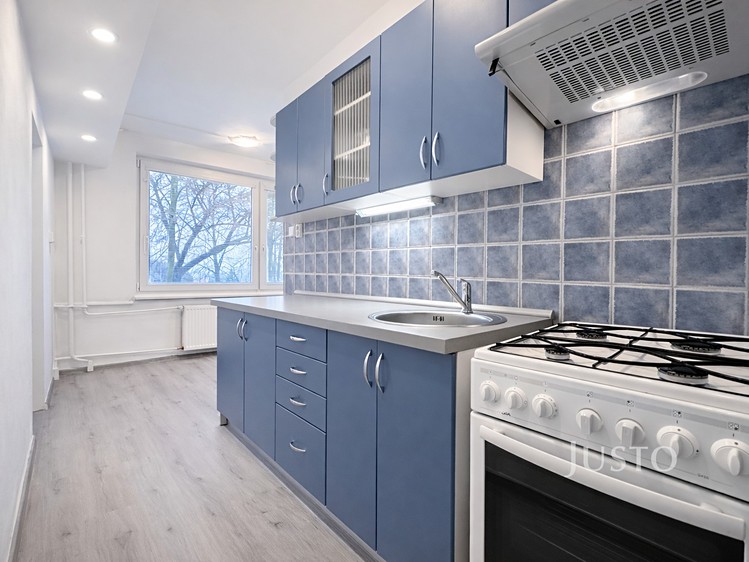 Pronájem bytu 1+1 44 m² - foto 4
