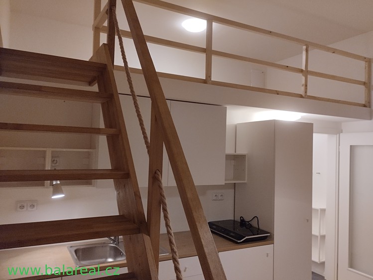 Pronájem bytu 1+kk 30 m² - foto 6