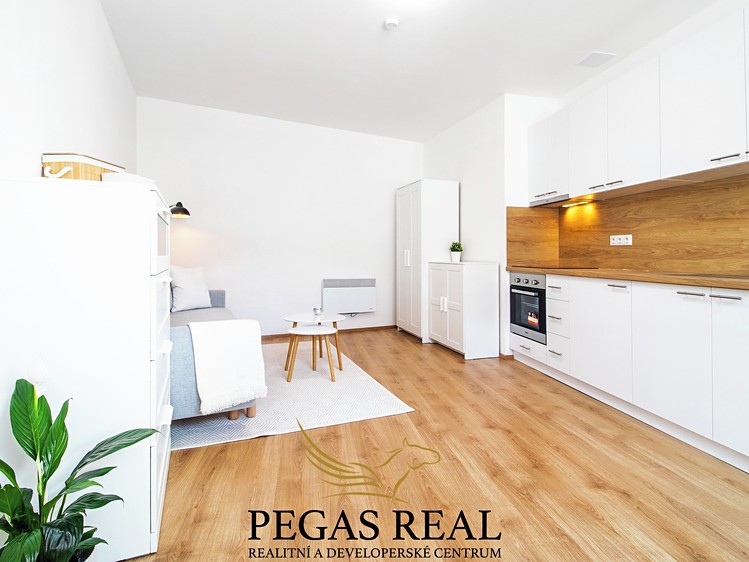 Pronájem bytu 1+kk 27 m² - foto 4