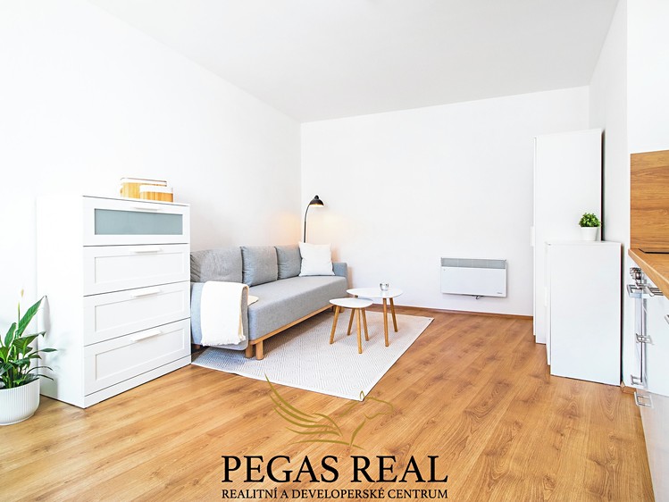 Pronájem bytu 1+kk 27 m² - foto 5