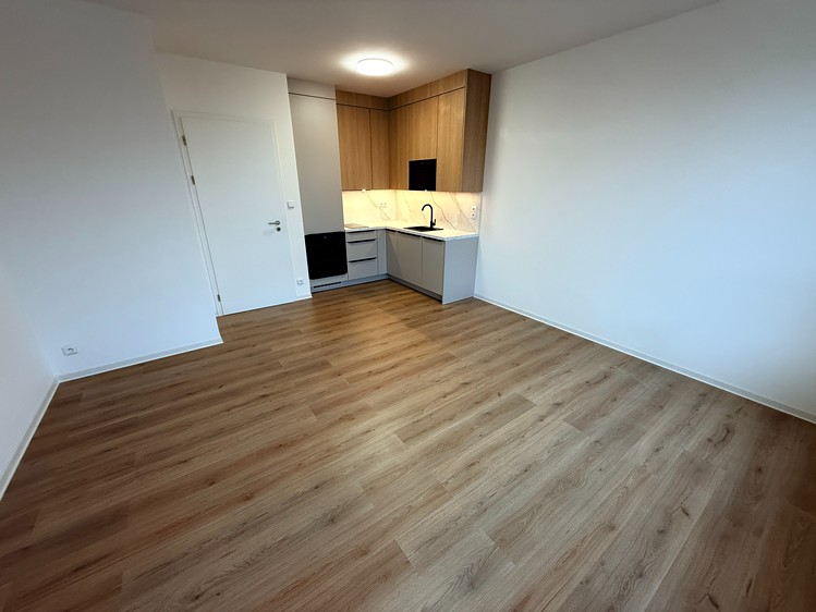 Pronájem bytu 1+kk 39 m² - foto 1