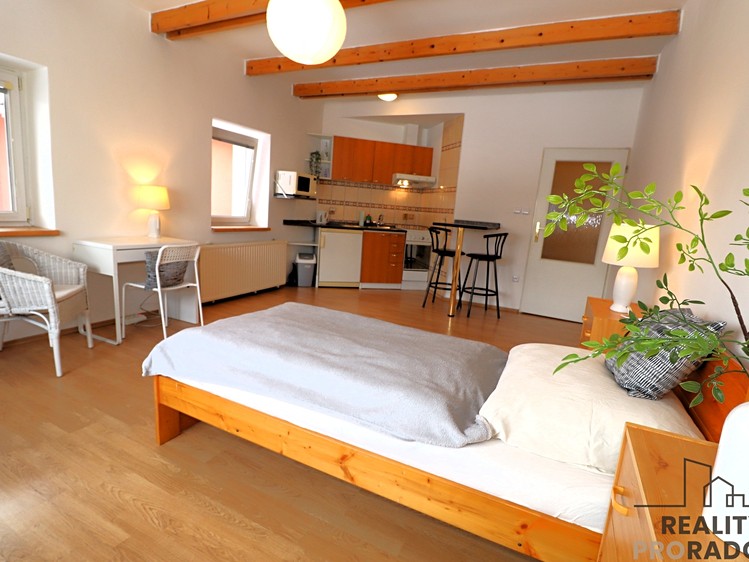 Pronájem bytu 1+kk 33 m² (Jednopodlažní) - foto 1